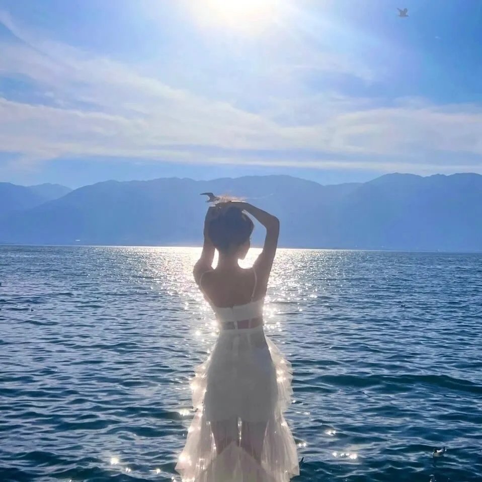 安妮莱伯维兹的浮华世界